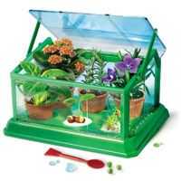 Настольная игра As Kids 1026-50351 Prima Sera Biologica -Stiinta & Joaca