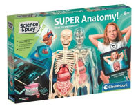 Набор для творчества Clementoni Super anatomie (75104)