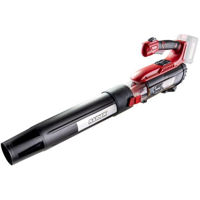 Suflantă de aer Raider RDP-BL20