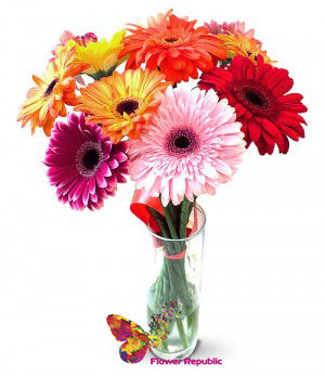 Buchet din gerbera mix 