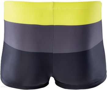 купить Плавки IGUANA STRIPE SULPHUR SPRING/FORGET IRON/BLACK в Кишинёве 