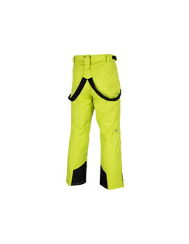 купить Лыжные штаны 4F MEN'S SKI TROUSERS SPMN001 CANARY GREEN в Кишинёве 