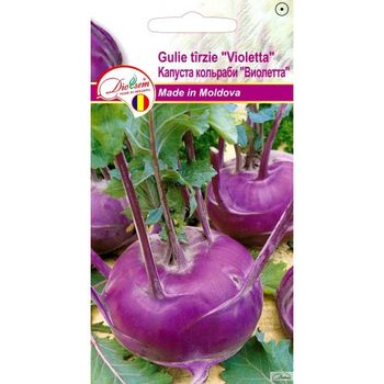 cumpără Seminte de Gulie tirzie Violetta 1,5 g (1209 91 800)  DS în Chișinău 
