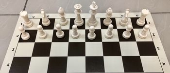 Шахматные фигуры пластиковые, утяжеленные №6 French DCP03H (5246) 