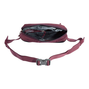 купить Сумка напоясная Deuter Organizer Belt, 3900421 в Кишинёве 