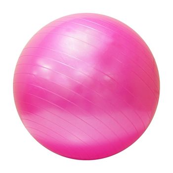 Мяч гимнастический с насосом / Фитбол d=85 см, 1.3 кг GB1501 (6162) 