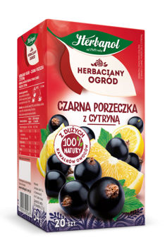 купить Чай фруктовый Tea Garden Blackcurrant with Lemon, 20 шт в Кишинёве 