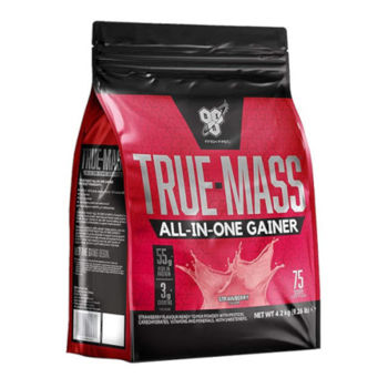 True Mass 4200G 