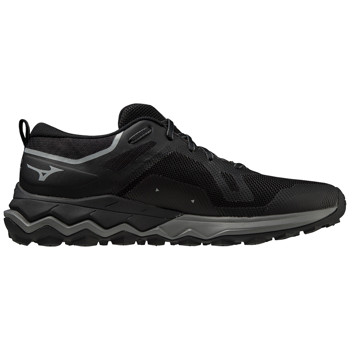 купить Кроссовки для трейлраннинга Mizuno WAVE IBUKI 4 GTX J1GJ2259 01 в Кишинёве 