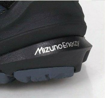 купить Кроссовки для бега Mizuno Wave Rider GTX 2 J1GD2079 10 в Кишинёве 