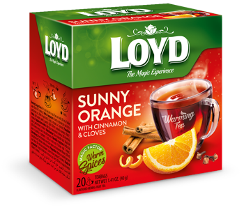 купить LOYD Warming Tea Sunny Orange with Cinnamon & Cloves, 20 пак в Кишинёве 