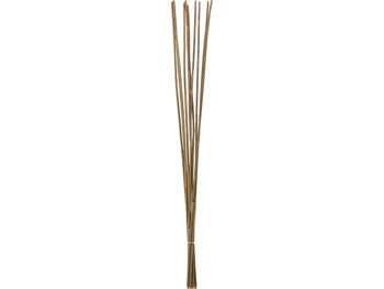 Suporturi din bambus pentru plante 10buc, 150cm 