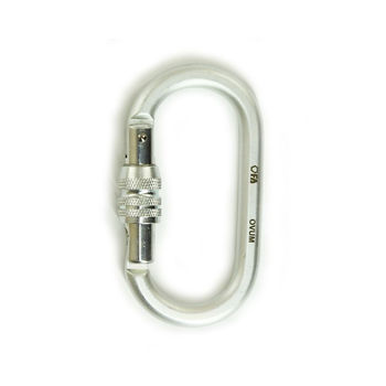 cumpără Carabiniera otel oval key-lock First Ascent Ovum Keylock 23 kN, FA8007 în Chișinău 