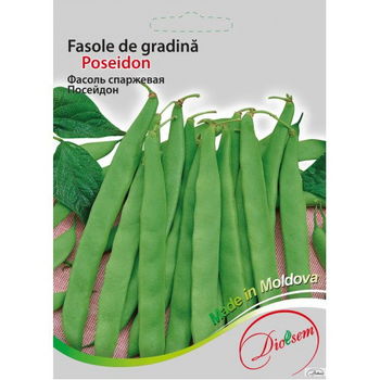 cumpără Seminte de Fasole de gradina verde Poseidon 20 g (0713 39 00)  DS în Chișinău 