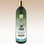 купить Health & Beauty Шампунь для волос с добавлением оливкового масла и меда (400ml) 44.323 в Кишинёве 