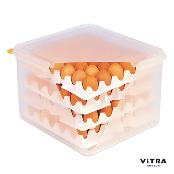 cumpără Container pentru ouă cu 8 tăvi în Chișinău 