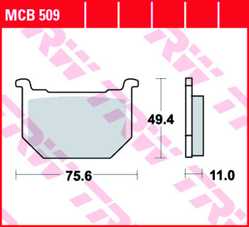 MCB509 