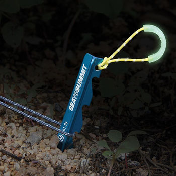 купить Колышек для палатки Sea To Summit Ground Control Tent Peg, APEG в Кишинёве 