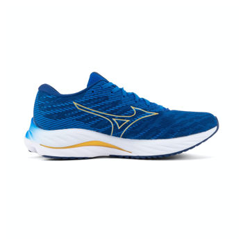 купить Кроссовки для бега Mizuno WAVE RIDER 26 J1GC2203 53 в Кишинёве 