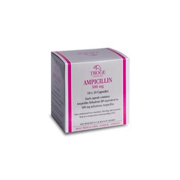 cumpără Ampicillin 500mg caps. N10x10 în Chișinău 