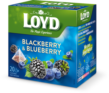 cumpără LOYD Blackberry & Blueberry, 20 pac. în Chișinău 