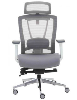 купить Кресло ERGO CHAIR  grey в Кишинёве 