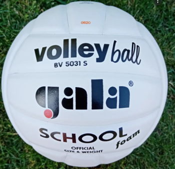 Мяч волейбольный №5 Gala School Foam 5031 (428) 