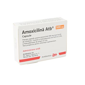 cumpără Amoxicillin 500mg caps. N10 în Chișinău 