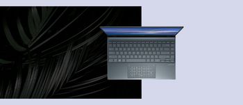 купить NB ASUS 14.0" Zenbook UM425UA (Ryzen 5 5500U 8Gb 512Gb Win 10) в Кишинёве 