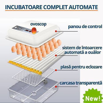 cumpără Incubator 64 buc. MS64 (84362100) în Chișinău 