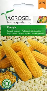 купить Семена Кукуруза-Попкорн Plomyk 20 г  AS в Кишинёве 