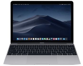 купить APPLE MACBOOK (MID 2017) SPACE GRAY в Кишинёве