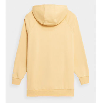 купить Пуловер с капюшоном 4F SWEATSHIRT F247 4FSS23TSWSF247 LIGHT LEMON в Кишинёве 