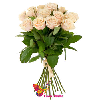 Buchet de 15 Trandafiri Crem  PREMIUM OLANDA 80-90CM 