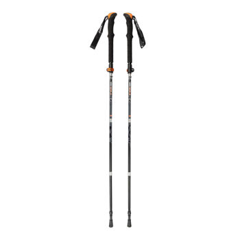 cumpără Bete trekking pliabile Yate Eagle foldable, SH00022 în Chișinău 