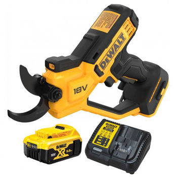 cumpără Foarfece cu acumulator DeWalt DCMPP568P1 în Chișinău 