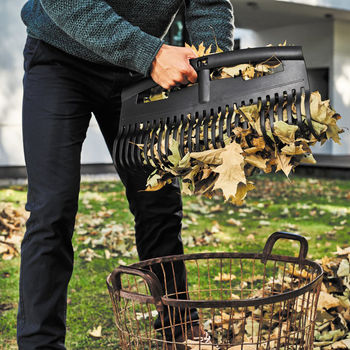 купить Грабли для листьев большие 525мм L=1800 мм 0,8 кг ERGO Cellfast в Кишинёве 
