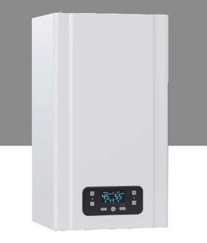 Газовый котёл E.C.A. Gerda 24 kW 