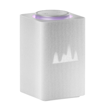 Yandex station MAX with ZIGBEE   YNDX-00052W, Grey. 