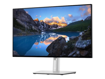 23,8" Monitor DELL U2422H, IPS 1920x1080 FHD, Silver 