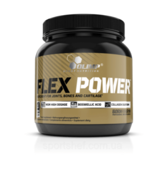 Flex Power 504G 