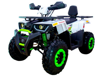 Бензиновый квадроцикл TAO MOTOR 200 New LUX 