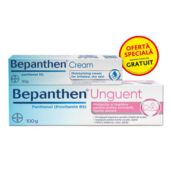 cumpără Bepanten unguent 100g + Bepanthen cremă 30g GRATUIT în Chișinău 