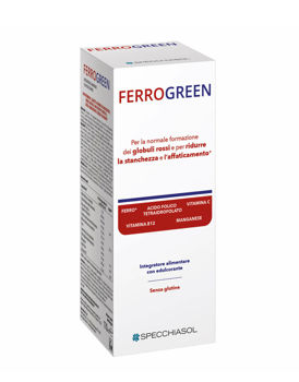 cumpără Specchiasol Ferrogreen Plus sirop 170ml în Chișinău 