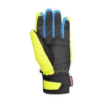 купить Перчатки лыж. муж. Reusch Torbenius R-TEX® XT, Ski Piste, 4501222 в Кишинёве 