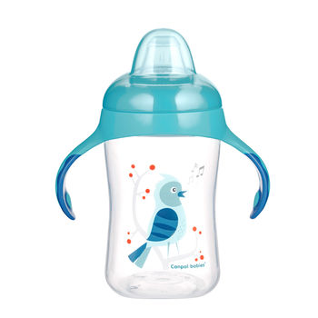 cumpără Canpol Baby 56/519 Cana de antrenament cu varf moale Pasari 300 ml în Chișinău 