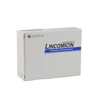 cumpără Lincomicin 250mg caps. N10x3 în Chișinău 