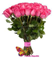 Trandafir Roz- 100-100 cm Pret o la bucata 