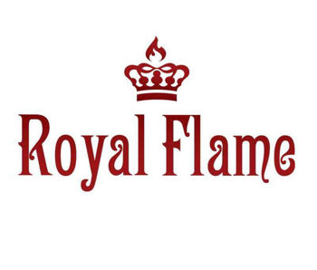 Semineu electric Royal Flame Vision 23 EF LED 3D FX 