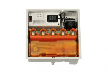 Semineu electric Dimplex Cassette 250 